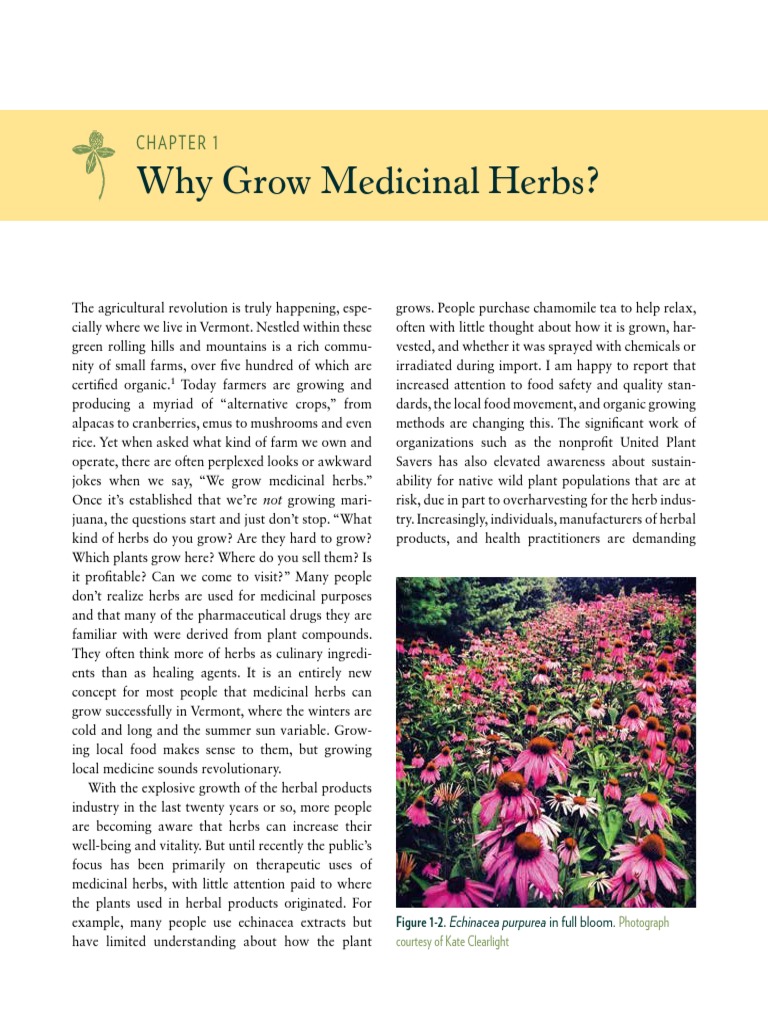 The Organic Medicinal Herb Farmer CH 1 Why Grow Medicinal Herbs