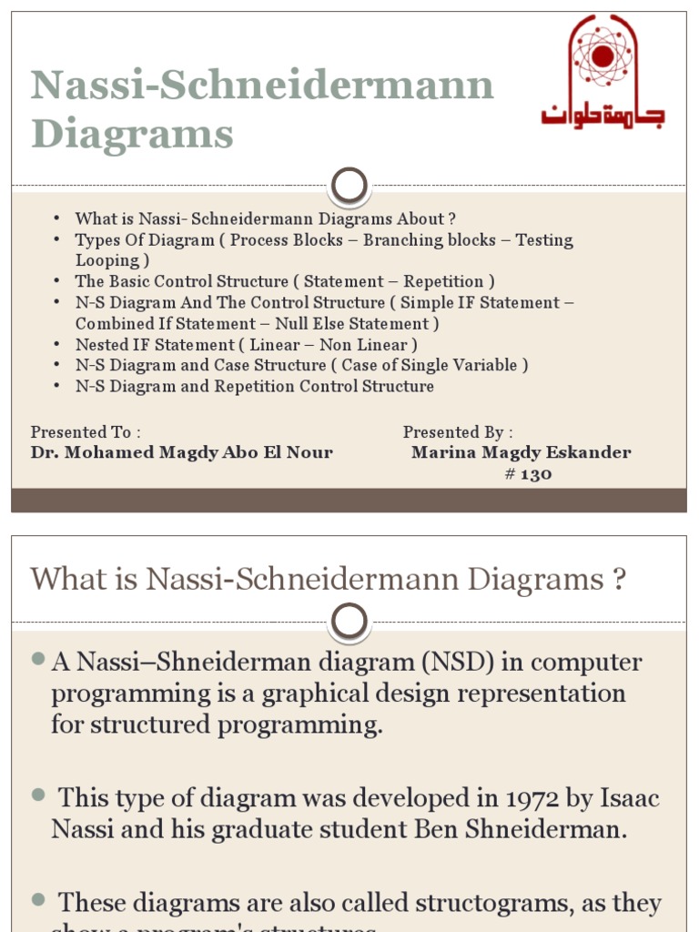 Nassi-Schneiderman Diagram Overview | PDF | Areas Of Computer Science ...