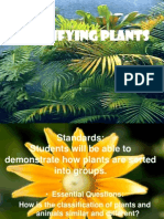 Classifying Plants