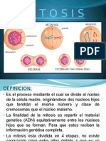 Mitosis y Meiosis