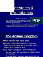 Vertebrates and Invertebrates