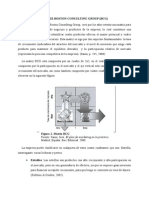 Matriz Boston Consulting Group