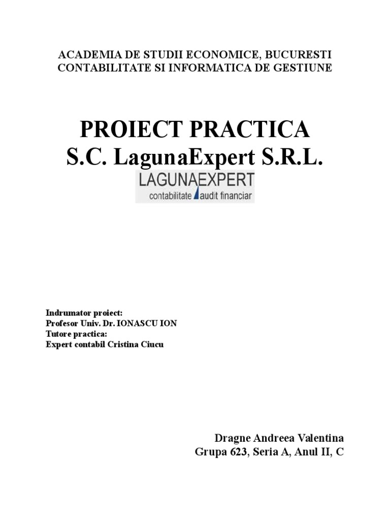 Proiect Practica | PDF
