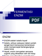 Fermentasi Enzim