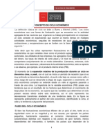 Ciclos Economicos PDF