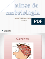Resumen de Embriología - II Unidad