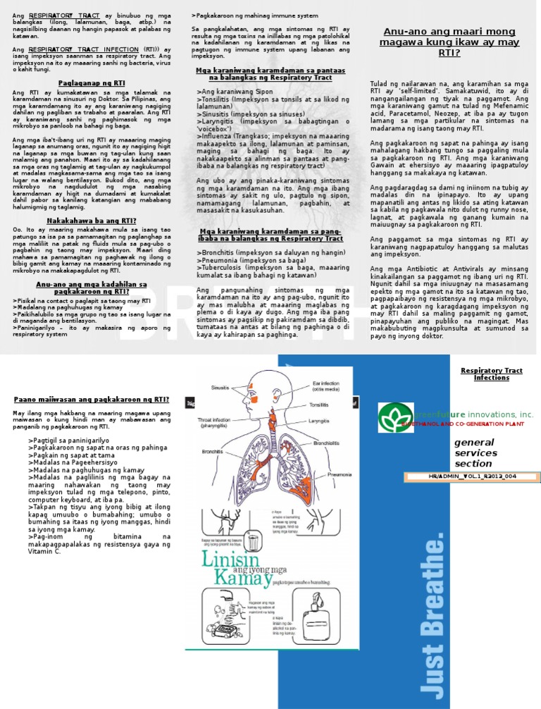 Upper Respiratory Tract Infections Flyer | PDF