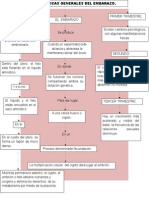 Características Generales Del Embarazo.