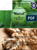 Nucul