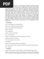 Download Buah sawo by BjoeBellamy SN262709687 doc pdf