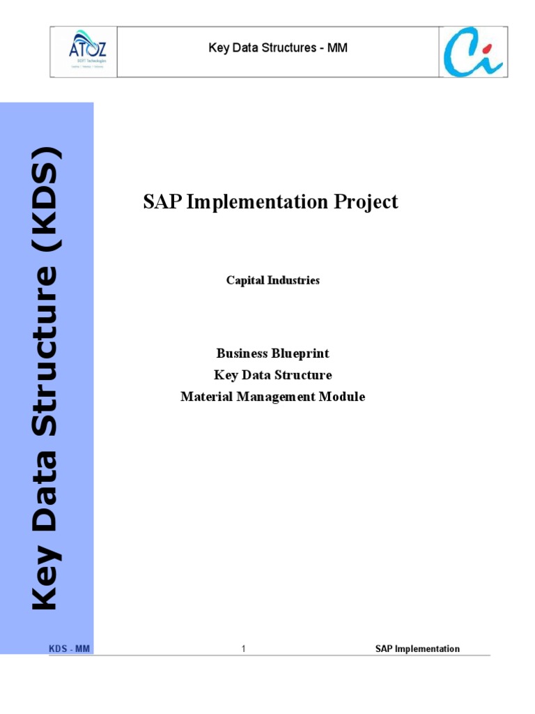 SAP Implementation Project: Business Blueprint Key Data Structure ...