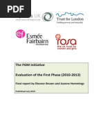 The FGM Initiative Final Report 2013