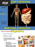 Nutrição e Sistema Digestivo