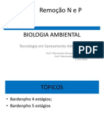 Remoção n e p Aula 14 2014