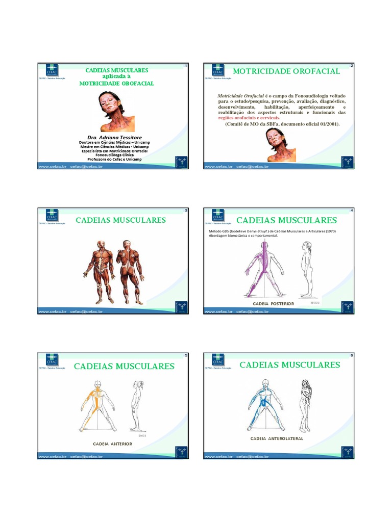 Livro - Cadeias Ântero-Laterais - Cadeias Musculares e Articulares