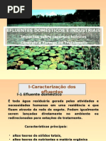 Tratamento de Esgotos