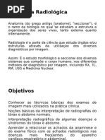 Anatomia Radiológica Punho e Mão