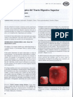 Semiología Endoscópica Del Tracto Digestivo Superior - Importancia para El Cirujano - 0