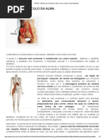 Psoas_ o Músculo Da Alma