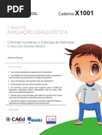 Saerjinho 2014 - X1001