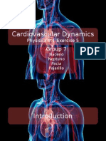 Cardiovascular Dynamics Physiolab