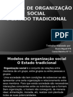 Modelos de Organização Social