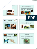 Herança Ligada, Limitada e Influenciada Pelo Sexo PDF