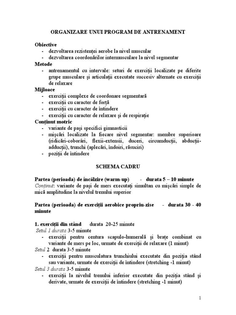 Organizare Unui Program | PDF