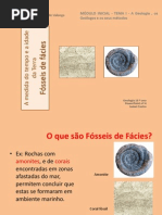 4 - Fósseis de Fácies