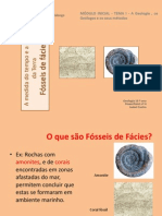 4 - Fósseis de Fácies