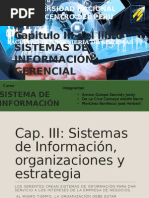 CAP. III - Sistemas de Información, Organizaciones y Estrategia