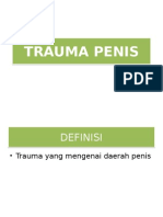Trauma Penis