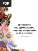 28 Solucionario Fotosíntesis