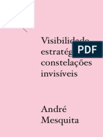 Visibilidade Estratégica/ Constelações Invisíveis - André Mesquita