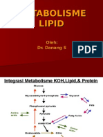 metabolisme-lipid