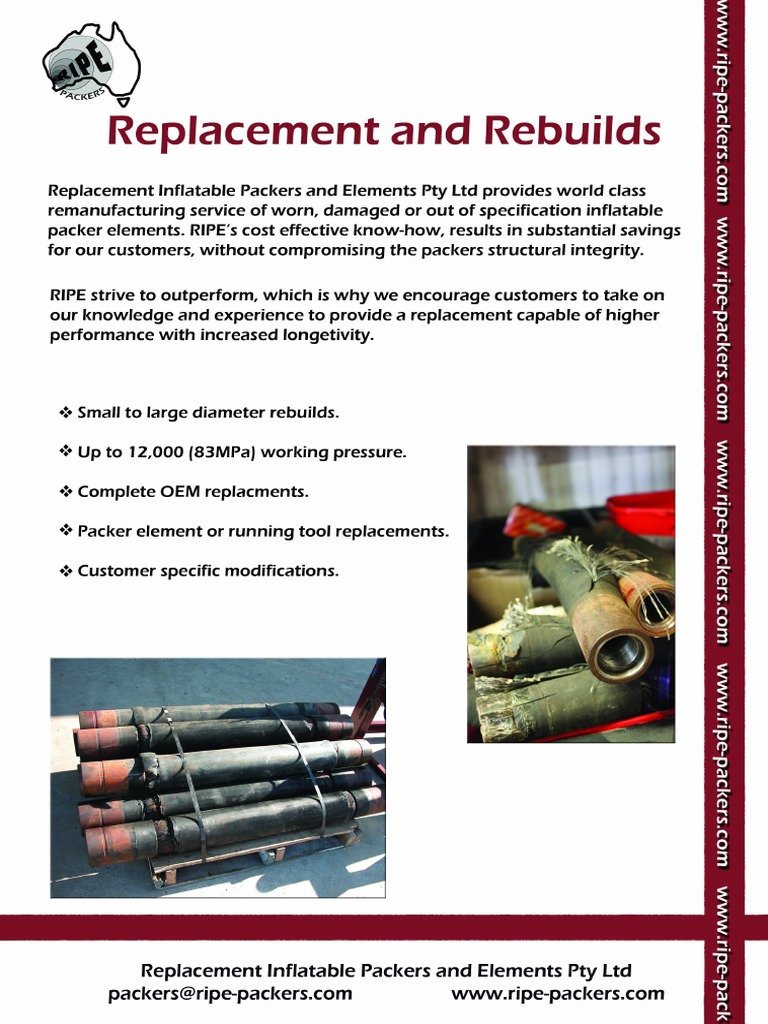 Packer Replacements and Rebuilds | PDF