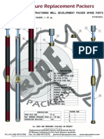 67 Open Hole Well / Bore Development Packer Straddle (1)