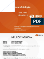 Neuroanatomia y Circuitos SensorioMotores KIN 405 UDLA 2011