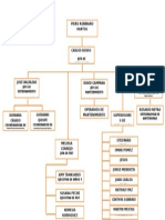 Estructura organizacional de Pierobbiano Hartog