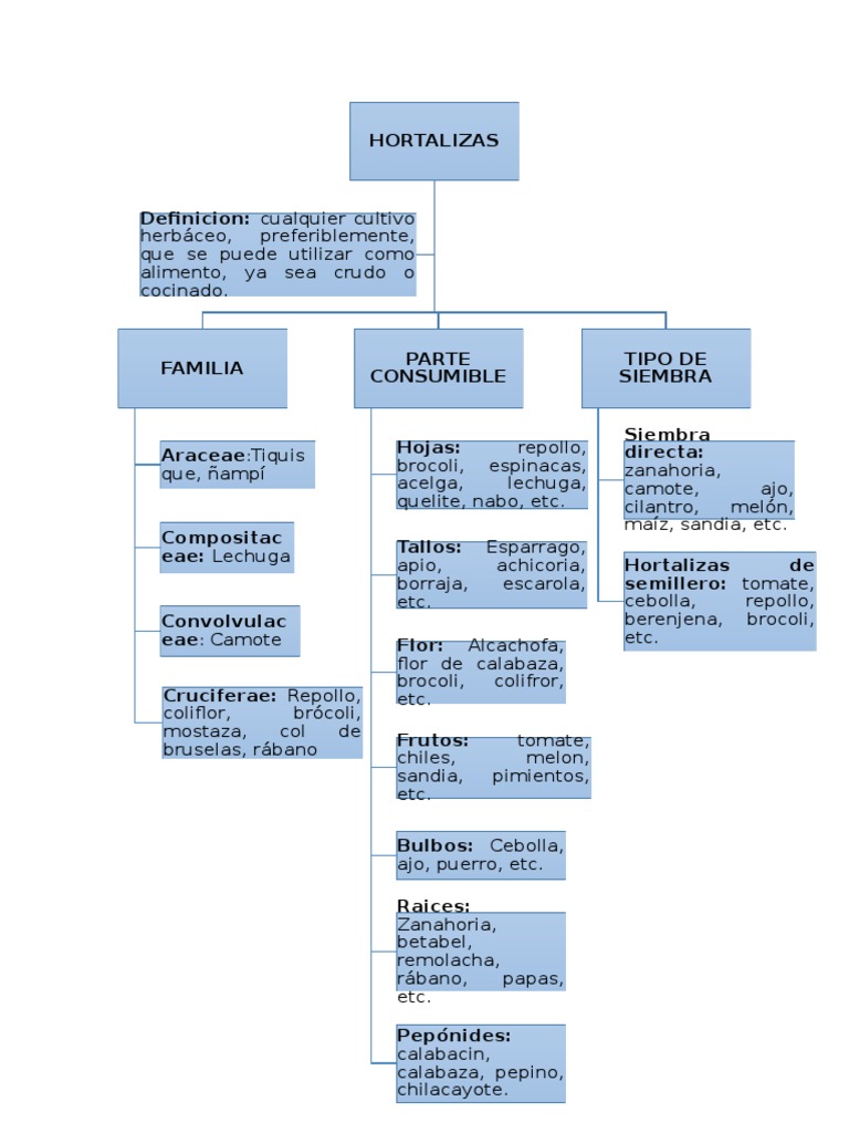 Mapa Conceptual de Frutas y Hortalizas