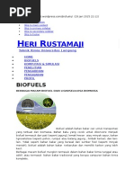 Download Biofueldocx by Mega Nurvidya SN262809611 doc pdf