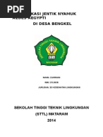 Download Identifikasi Jentik Nyamuk Aedes Aegypti by MuharrirBadar SN262810781 doc pdf
