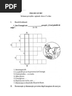 189_fisa_de_lucru.doc