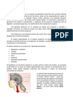 Resumen de Sistema Endocrino.pdf