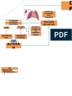 Drenaje Pleural