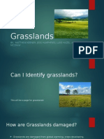 Grasslands