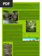 Poster Passeios Intergeracionais