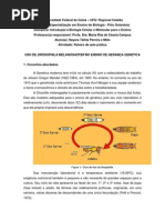 Roteiro de aula prática, genética