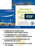Bioenergía FAO 2009