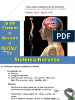 3Aula Fisiologia Sistema Nervoso Periferico